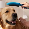 Kép 2/3 - Hansgrohe Dogshower 150 kézizuhany kutyák részére 3 funkciós masszírozó szilikonfúvókákkal, petrolkék 26640540