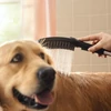 Kép 2/3 - Hansgrohe Dogshower 150 kézizuhany kutyák részére 3 funkciós masszírozó szilikonfúvókákkal, matt fekete 26640670
