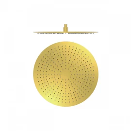 Tres vízkő ellen védett fejzuhany arany 29963204OR