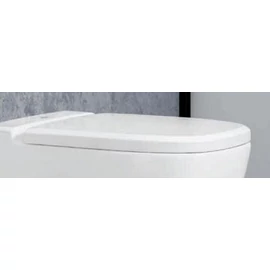 Villeroy & Boch Antheus lassú záródású wc ülőke 8M18S1R1 (8M18 S1 R1)