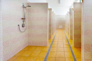 Hansgrohe PowderRain