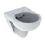 Geberit Selnova Compact fali WC, rövidített kivitel, Rimfree 500.349.01.1